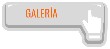 GALERIA.png